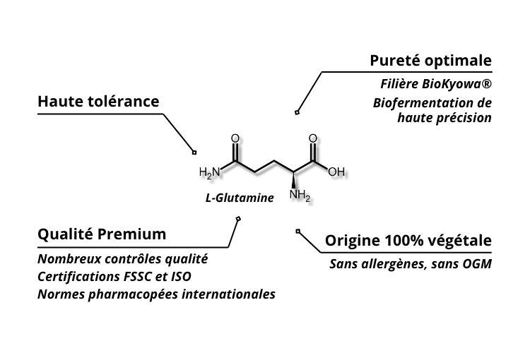 Structure moléculaire de L-glutamine